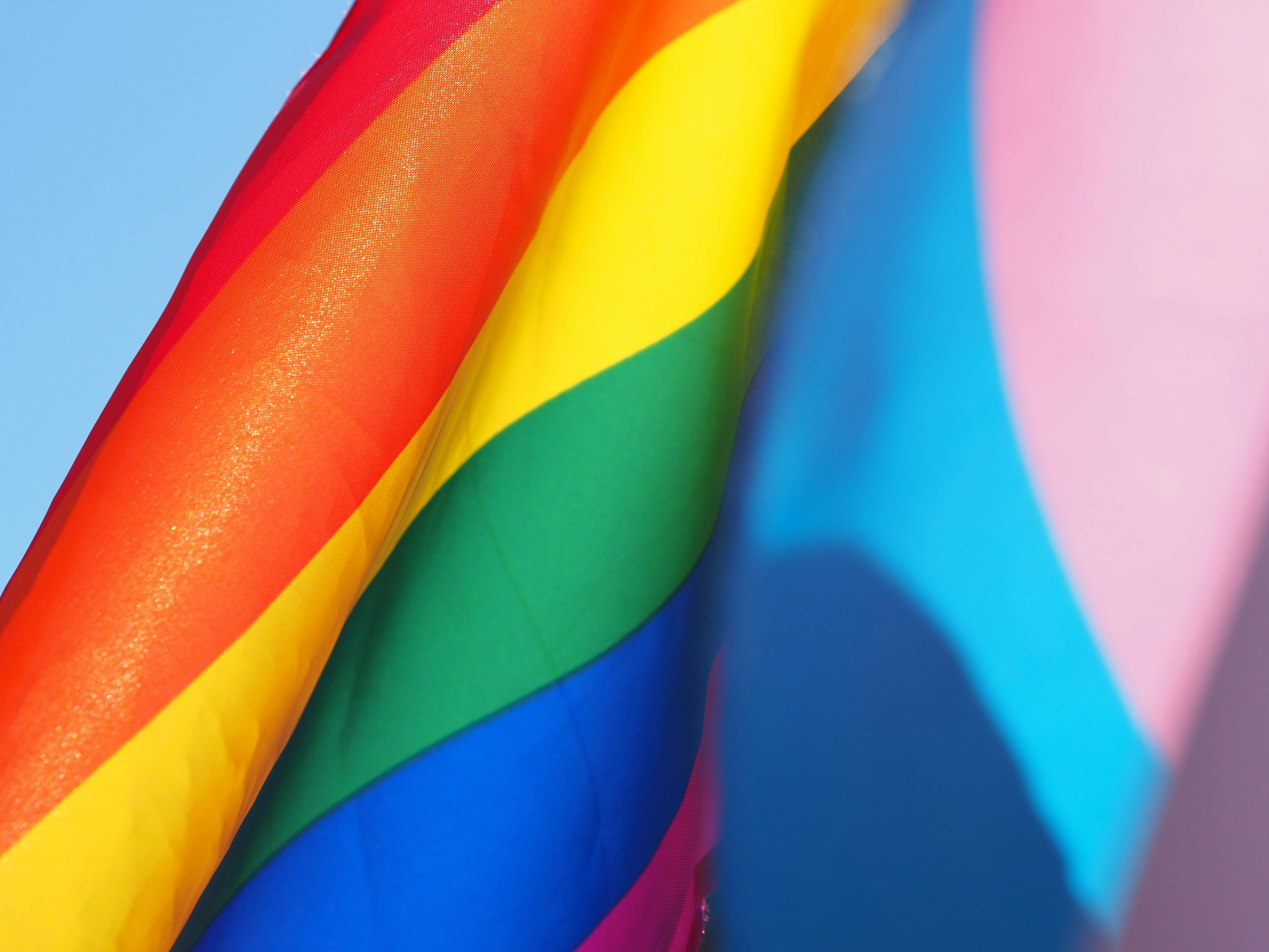 A closeup of a rainbow LGBTQ Pride flag and a pink and blue Trans Pride flag.