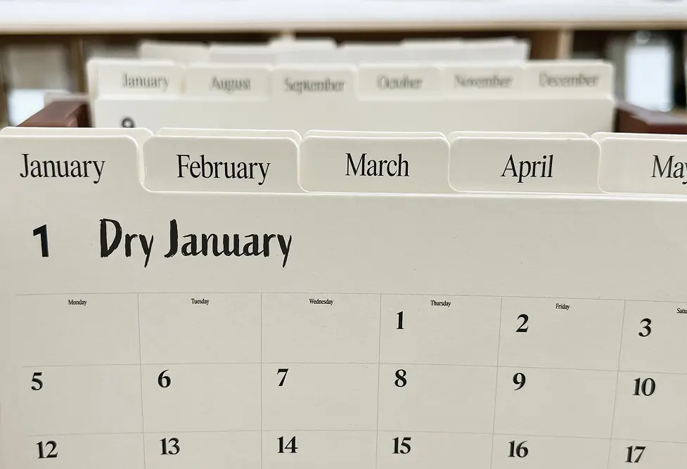 The State Of Dry January 2025 Report