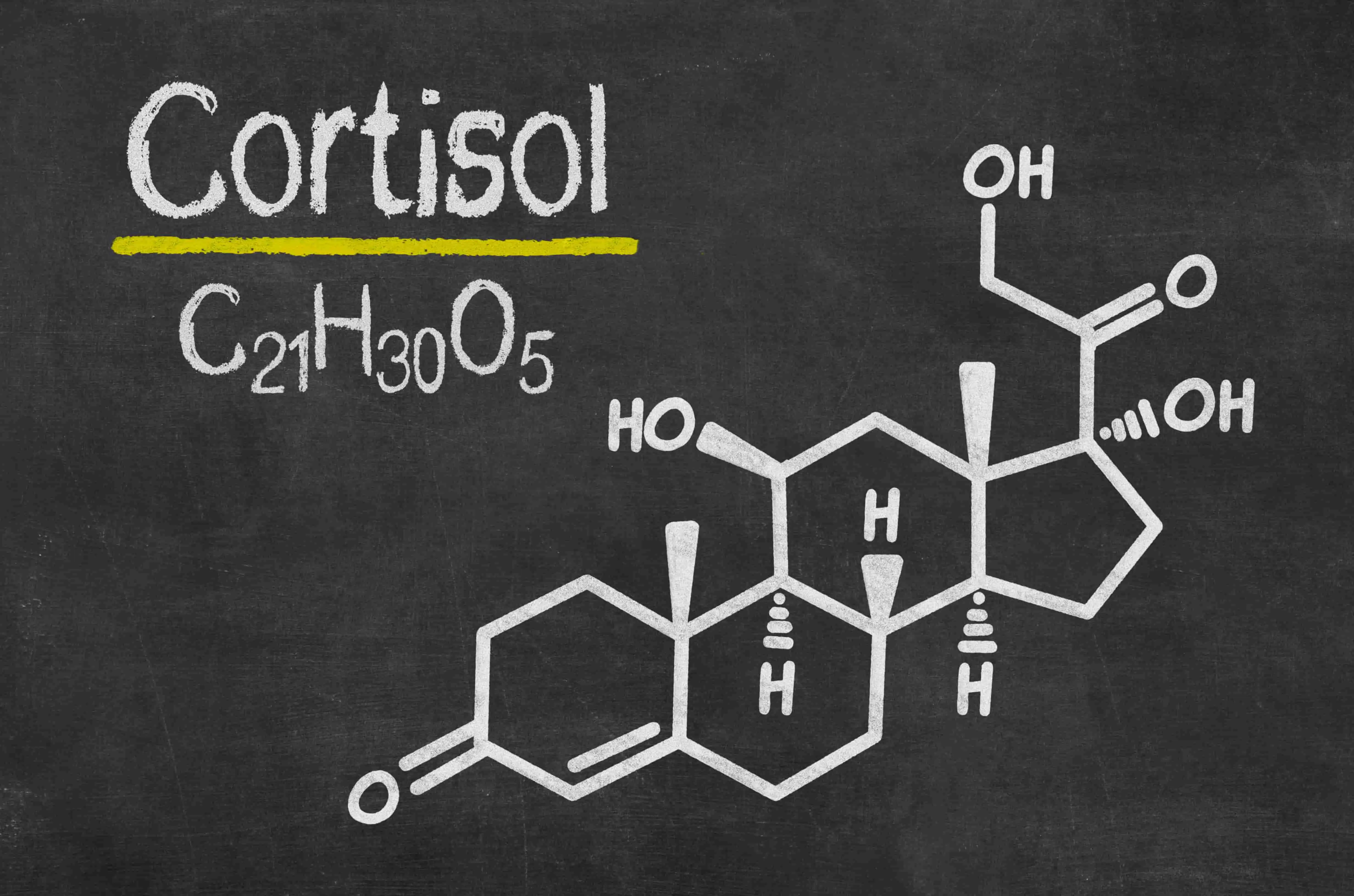 How To Lower Cortisol