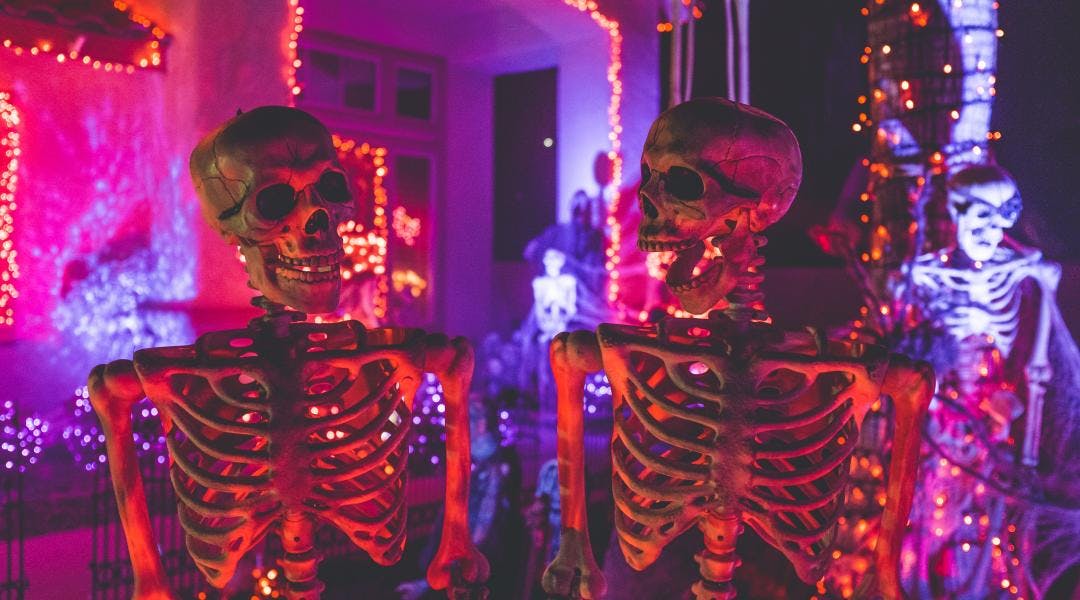 Two life-size skeleton decorations are posed so that they appear to be having a conversation in front of a house decorated with neon lights.