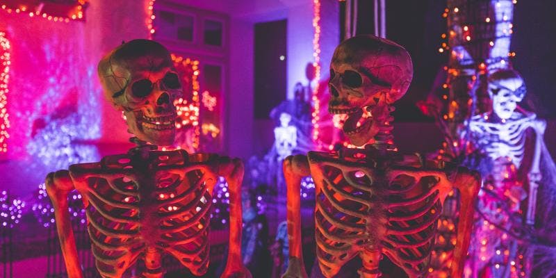 Two life-size skeleton decorations are posed so that they appear to be having a conversation in front of a house decorated with neon lights.